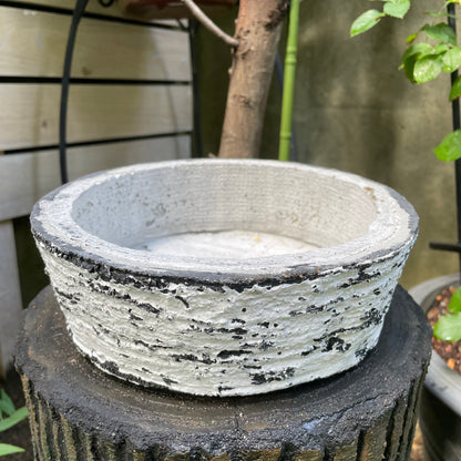 左官技術で樹皮の質感を再現した、コンクリート製切り株スツール。耐荷重80kgで、庭のベンチや店舗のディスプレイ什器としても使える重厚なアート家具 (NoelHatch)