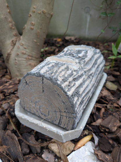 屋外の植物の根元を背景に、黒い長方形のソーサーに乗せられた、焼けたような黒い丸太の木目調の長方形セメント製プランターの斜め後ろからのクローズアップ。側面の丸太の質感がよくわかる。