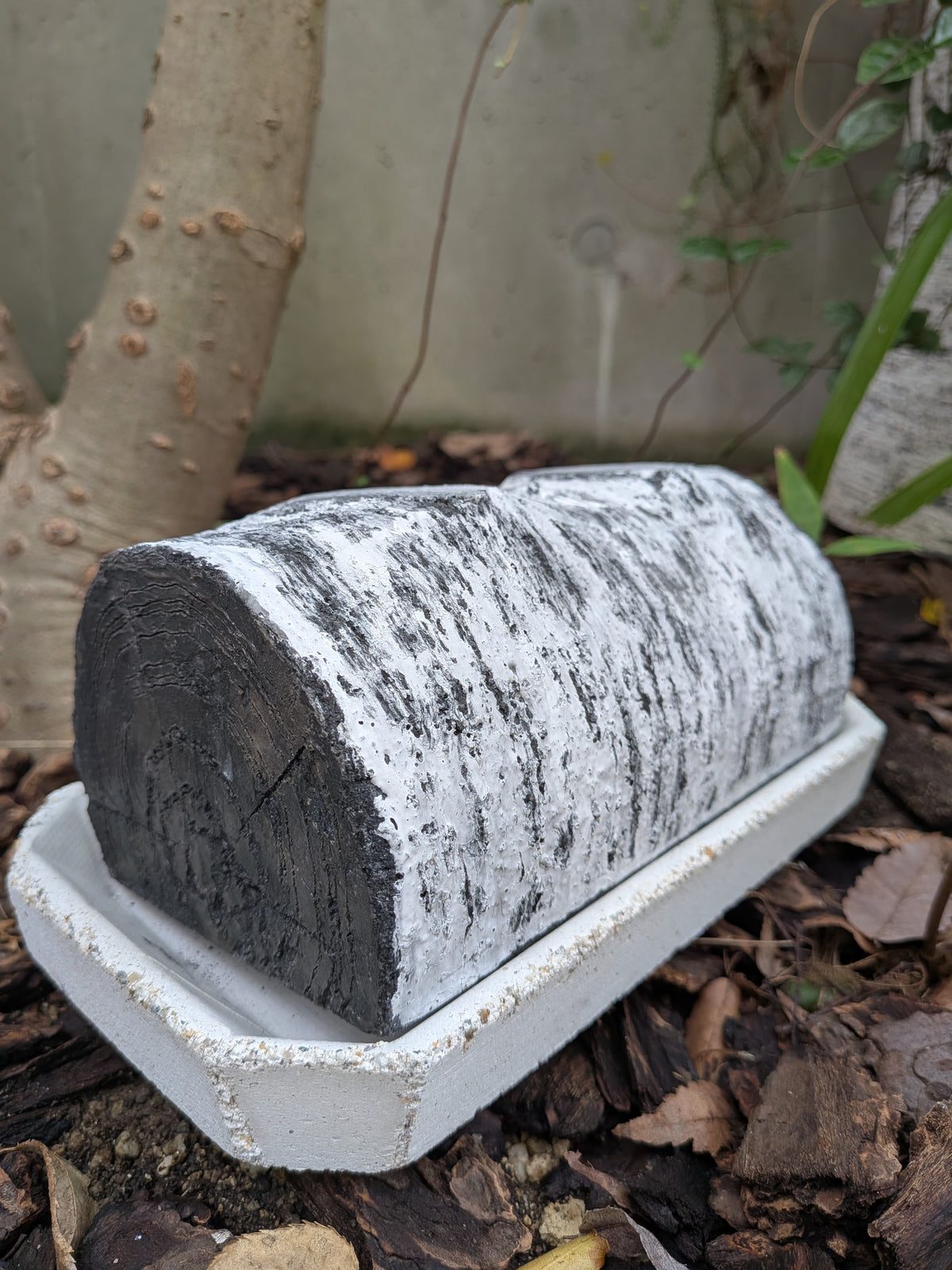 屋外の地面に置かれた、焼けたような黒い丸太を模した長方形セメント製プランターの木口（切り株）部分のクローズアップ。セメントで表現された年輪の模様がはっきりと見える。プランターは白いソーサーに乗っている。