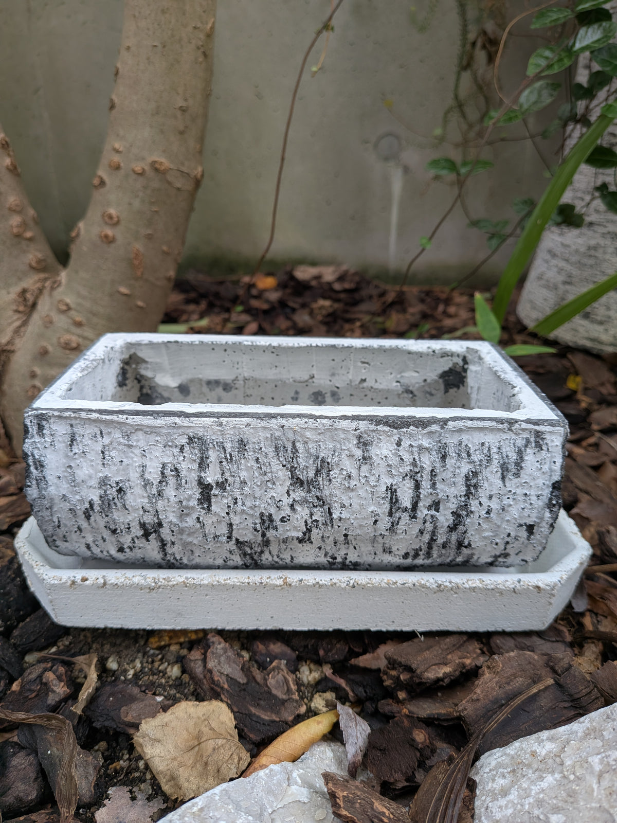 屋外の植物の根元を背景に、白い長方形のソーサーに乗せられた、焼けたような黒い丸太の木目調の長方形セメント製プランターの側面全体が見えるクローズアップ。セメントの無機質な質感と丸太の有機的なデザインが対照的。